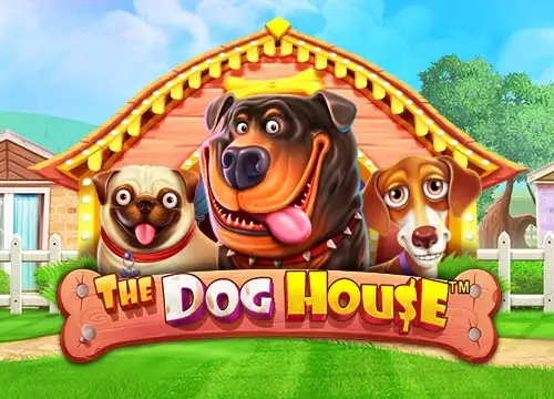 dog house